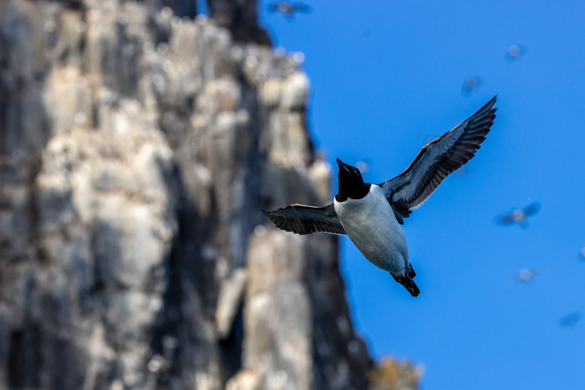 Бухта Преображения