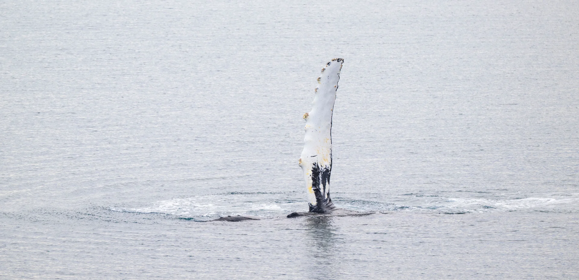 Остров Иттыгран и пролив Сенявина