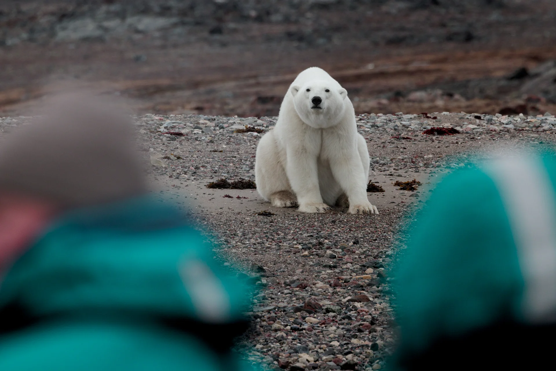 Остров Геральд