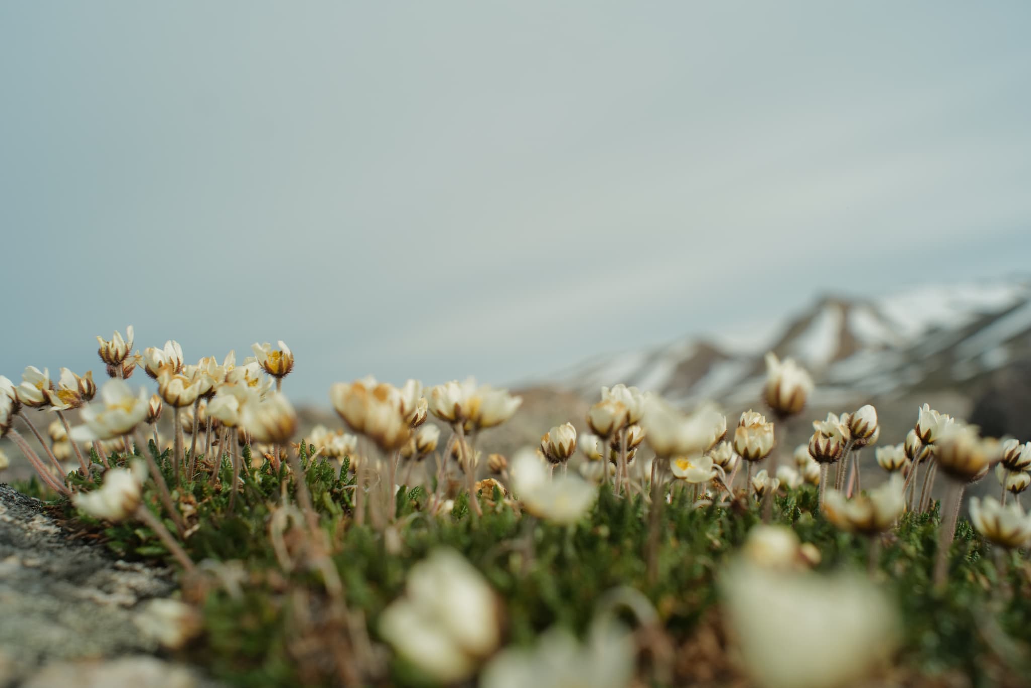 Сенявинские источники и бухта Пенкигней