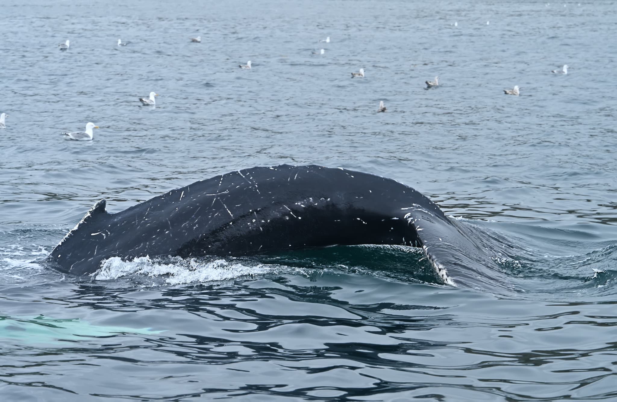 Остров Иттыгран и пролив Сенявина