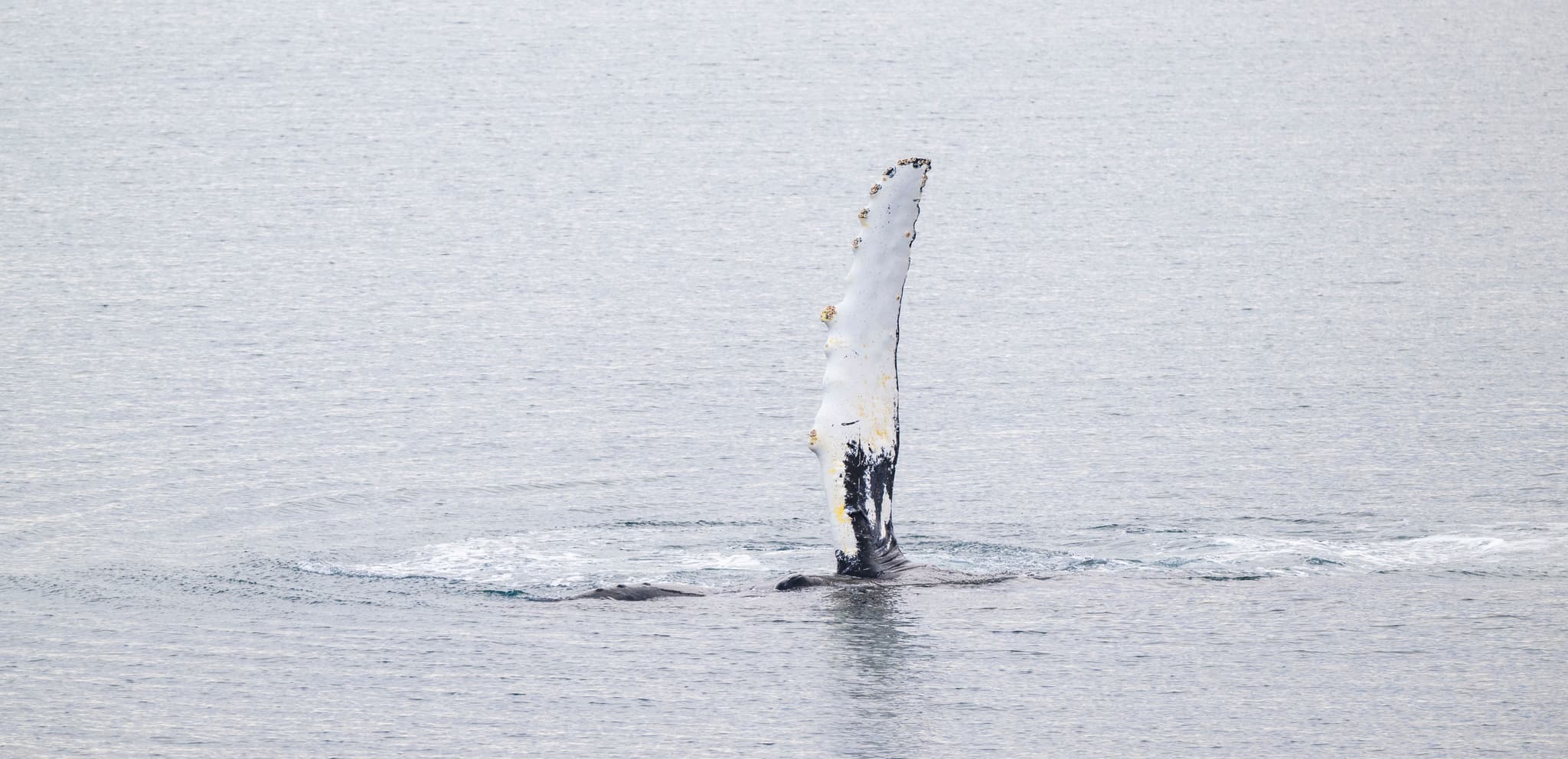 Остров Иттыгран и пролив Сенявина