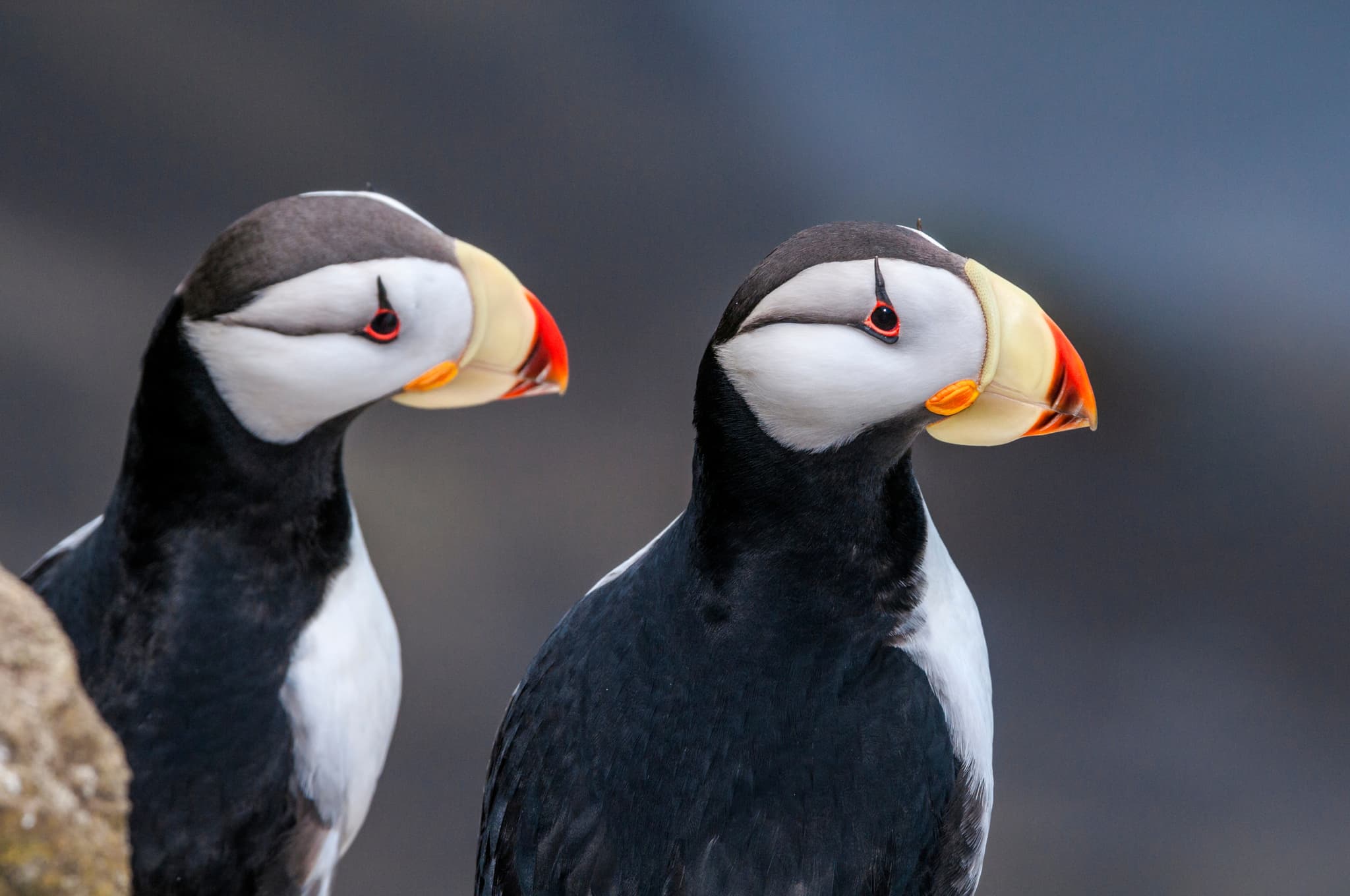 Мыс Дежнева и Уэлен