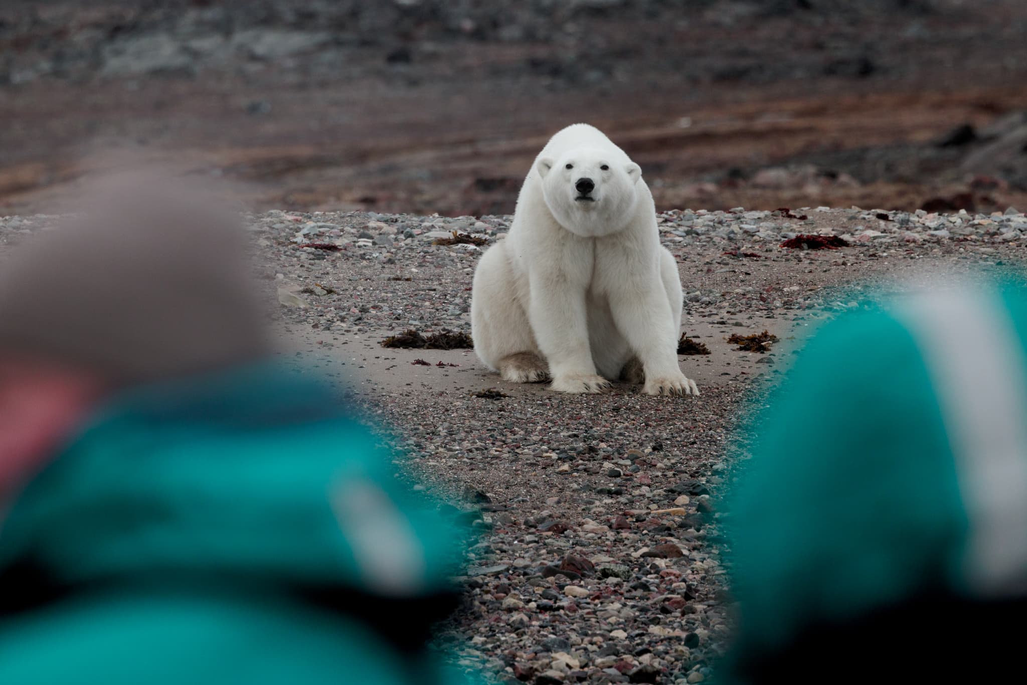 Остров Геральд