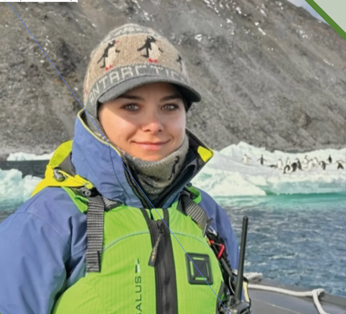 Полина Верди